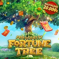 Tuân thủ quy định 6t6t2t3